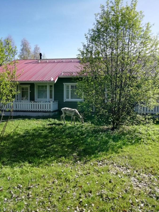 Ounasvaara Sport Cottages Rovaniemi Kültér fotó
